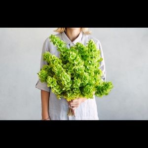 Meet your Posher, Jaime